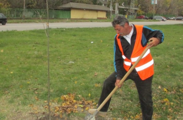 В ход е есенното залесяване на Г. Оряховица
