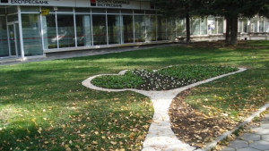 Подготовка на зелената система в града за зимния сезон