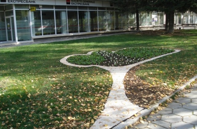 Подготовка на зелената система в града за зимния сезон