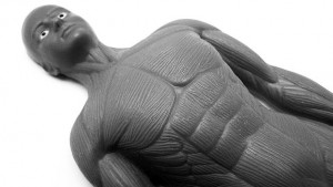 Белгийци откриха нова част на човешкото тяло