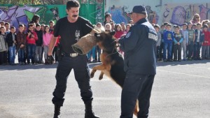 Кучето Арлет хвана престъпник в двора на училище Св П