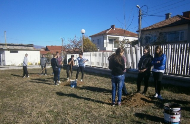 Сдружение Пауталия на бъдещето и ученици от ПМГ садиха фиданки