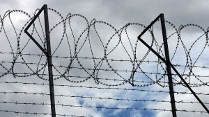 Пловдивските надзиратели на протест в столицата