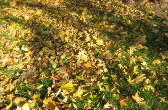 Слънчево и топло