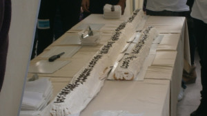 Репетиция за подобряване на световен рекорд по найдълго руло