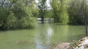 Обсъдиха бъдещата дейност на Напоителни системи клон Видин