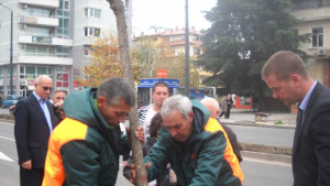 Започва мащабно озеленяване на града