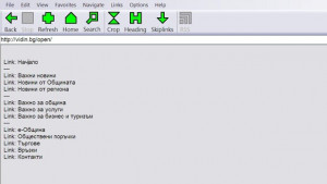 Сайтът на община Видин достъпен за хора със зрителни увреждания