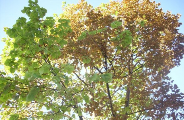 Облачно и хладно