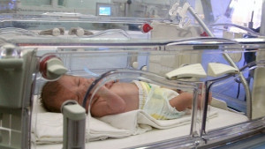 Входът на Морската градина светва в лилаво заради недоносените бебета