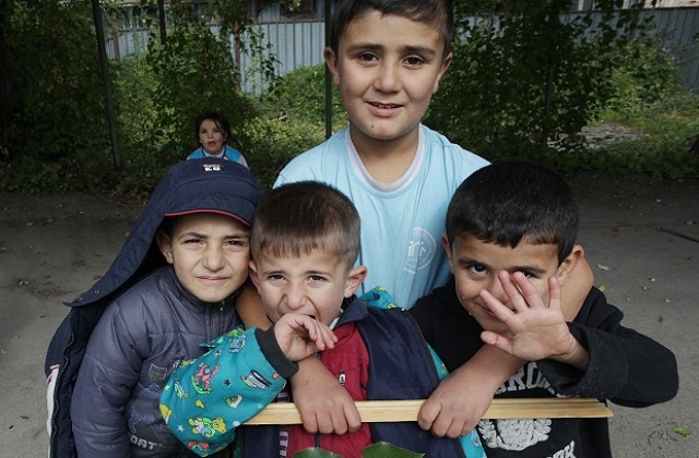 Малко сирийци искали да останат у нас