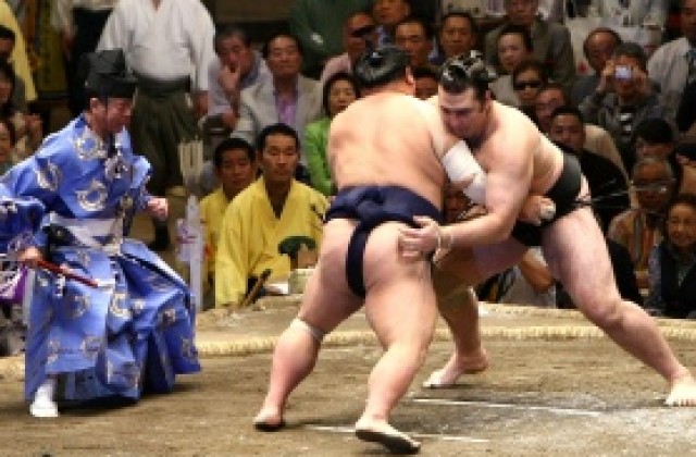 Първо в Гонг: Котоошу продължава, няма да се оперира