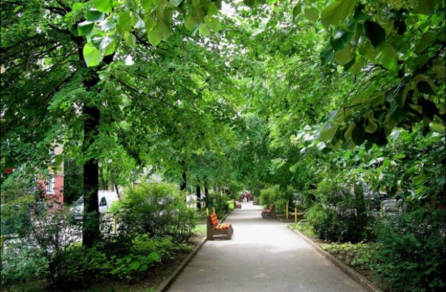 Вандали изпочупиха пейки, ремонтират ги за 9 000 лева