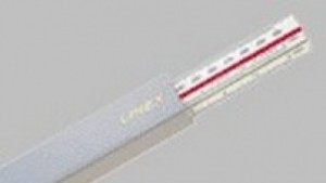 Случаи на скарлатина и дизентерия в областта