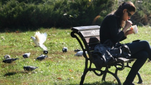 Топло за ноември