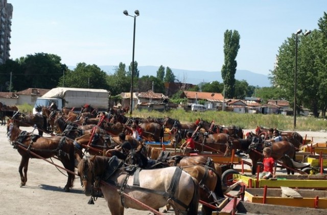 ДПС искa отмяна на забраната за каруците