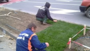Продължава есенната кампания по озеленяване