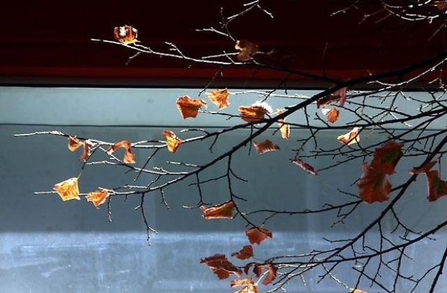 Облачно, но топло