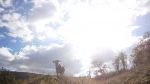 Последните топли дни за тази година от понеделник минусови температури