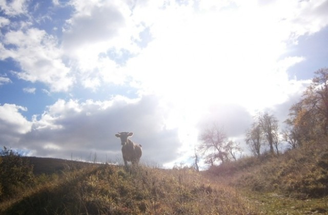 Последните топли дни за тази година, от понеделник минусови температури