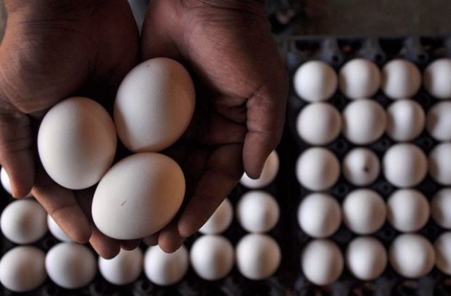 Яйцата могат да помогнат при рак на гърдата