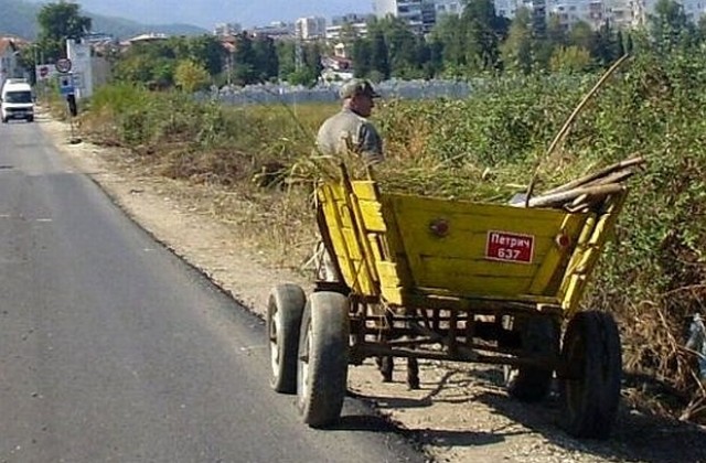 Каруца прегази и уби мъж край Петрич