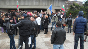 Забраната за коли в Морската градина застрашавала живота на делфините