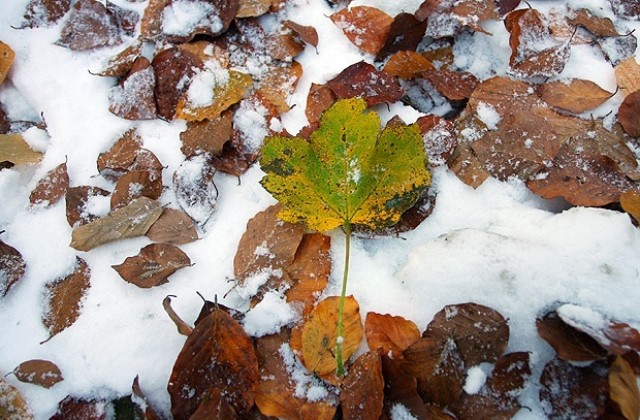 Идва първият сняг