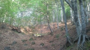 Преасфалтират още 58 километра от пътя през Петрохан догодина