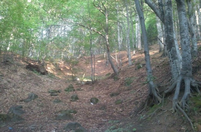 Преасфалтират още 58 километра от пътя през Петрохан догодина