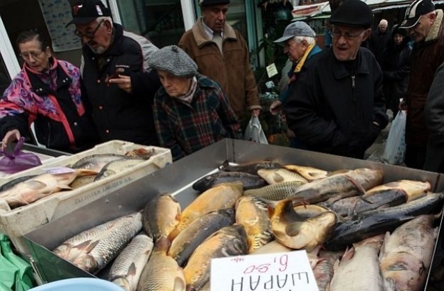 Шаранът по-евтин за Никулден