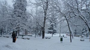 Чудо безработицата във Враца намалява