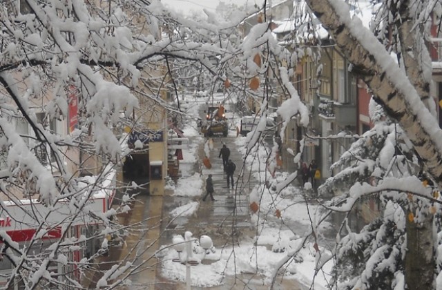 Нормална пътна обстановка във врачанско