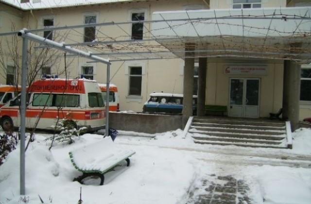 Положителни проби за трихинелоза са установени при диви прасета в Кюстендил