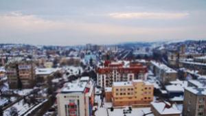 24 нови приемни семейства от началото на годината