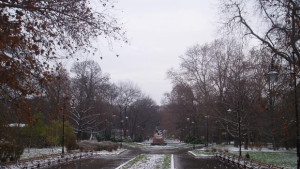 30 сдружения бранят забраната на кмета за Морската градина