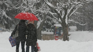 Снегът препълни приюта за бездомни