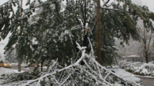 Девет села са без ток в Търговищко