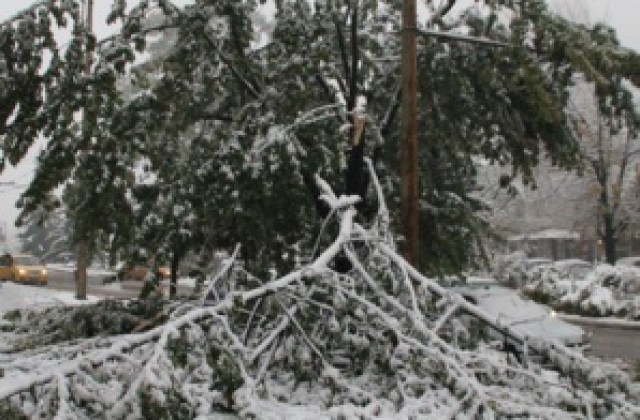 Девет села са без ток в Търговищко