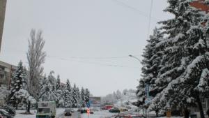 5 села в Търговищко все още са без ток пътищата