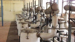 Отмениха конкурсът за директор на Института по розата