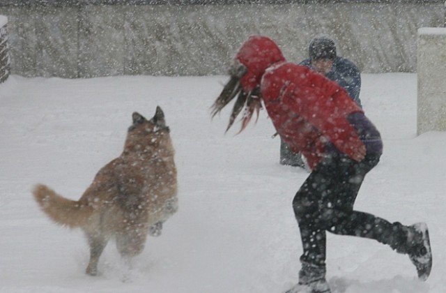 Снежно и студено през декември