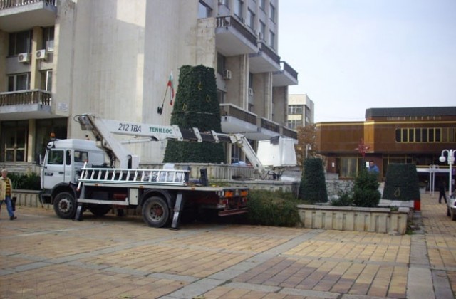 Градската коледна елха грейва на 2 декември