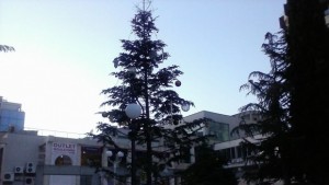 Палят в понеделник светлините на коледното дръвче