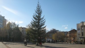 Коледната елха в Дупница ще грейне тази вечер