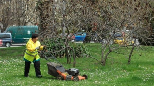 Затягат режима за компенсаторното озеленяване