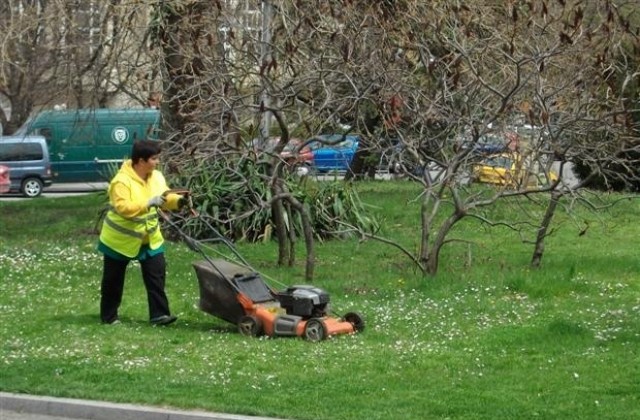 Затягат режима за компенсаторното озеленяване