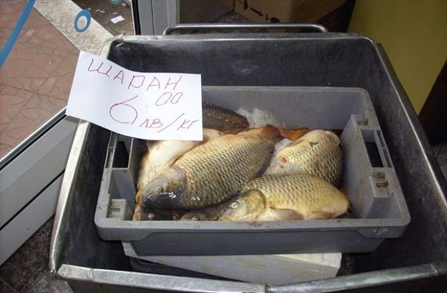 Шаранът по-евтин за Никулден