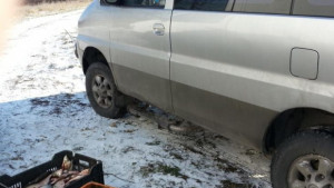 Масови проверки тръгват заради Никулден вече иззеха 30 кг риба