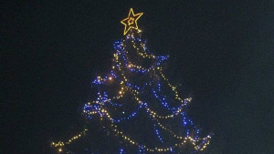Грейва коледната елха в Гоце Делчев